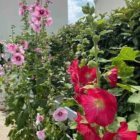Apartment Les Baigneuses Pontaillac T2 Jardin Piscine